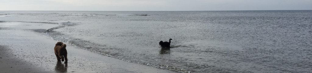 Beau Bliksem zee